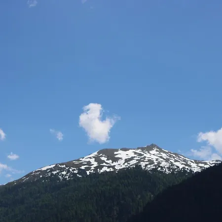 Alpenrose